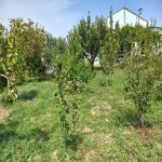 Продажа 3 комнатная Дача, Яшма баглары район 1