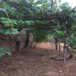 Satılır 2 otaqlı Bağ evi, Mərdəkan, Xəzər rayonu 48
