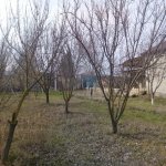 Satılır 4 otaqlı Həyət evi/villa Şabran 35