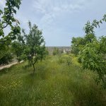 Satılır Torpaq, Xəzər rayonu 4