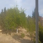 Satılır Torpaq, Buzovna, Xəzər rayonu 2