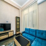 Посуточно 1 комнат Новостройка, м. 28 Мая метро, Насими район 1