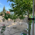 Satılır 5 otaqlı Bağ evi, Hövsan qəs., Suraxanı rayonu 8