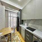 Kirayə (aylıq) 3 otaqlı Yeni Tikili, 28 May metrosu, Nəsimi rayonu 5