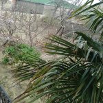 Satılır Torpaq, Saray, Abşeron rayonu 2