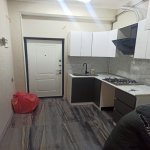 Kirayə (aylıq) 2 otaqlı Yeni Tikili, Əhmədli metrosu, Xətai rayonu 4