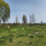 Продажа Участок Хачмаз 62