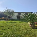 Kirayə (günlük) 4 otaqlı Həyət evi/villa Qəbələ 3