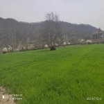 Satılır Torpaq Qəbələ 4