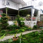 Kirayə (günlük) 3 otaqlı Həyət evi/villa Qax 12