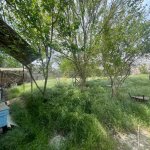 Kirayə (aylıq) 5 otaqlı Həyət evi/villa, Ramana qəs., Sabunçu rayonu 17