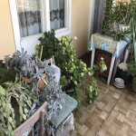 Satılır 5 otaqlı Köhnə Tikili Lənkəran 11