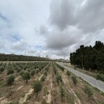 Продажа 4 комнатная Дома/Виллы, м. Ази Асланова метро, Хетаи район 29