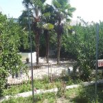 Satılır 7 otaqlı Həyət evi/villa Ağdaş 10