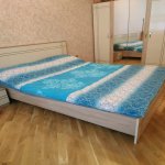 Аренда 2 комнатная Новостройка, м. Эльмляр Академиясы метро, пос. Ясамал, Ботанический сад, Ясамал район 6