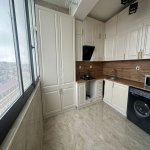 Продажа 3 комнатная Новостройка, пос. Бадамдар, Сябаиль район 8