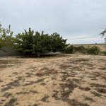 Satılır Torpaq, Xəzər rayonu 3