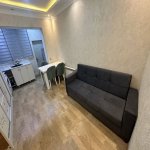 Kirayə (aylıq) 1 otaqlı Köhnə Tikili, Əhmədli metrosu, Əhmədli, Xətai rayonu 6