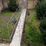 Kirayə (aylıq) 7 otaqlı Ofis, Xətai rayonu 1