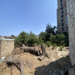 Продажа Участок, м. Азадлыг метро, пос. Рясулзаде, Бинагадинский р-н район 4