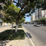 Kirayə (aylıq) 2 otaqlı Yeni Tikili, Gənclik metrosu, Nərimanov rayonu 8