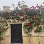 Kirayə (aylıq) 9 otaqlı Bağ evi, Xəzər rayonu 28