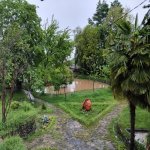 Kirayə (günlük) 5 otaqlı Bağ evi İsmayıllı 2