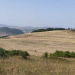 Satılır Torpaq Şamaxı 8