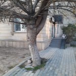 Kirayə (aylıq) 2 otaqlı Ofis, Xətai metrosu, Xətai rayonu 3