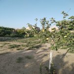 Satılır Torpaq Sumqayıt 4