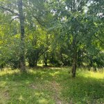 Satılır Torpaq Qəbələ 3