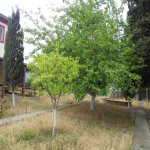 Satılır 5 otaqlı Bağ evi, Novxanı, Abşeron rayonu 7