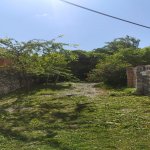 Kirayə (günlük) 3 otaqlı Bağ evi Şəki 13
