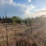 Satılır Torpaq, Zirə, Xəzər rayonu 4