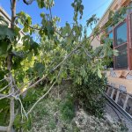 Satılır 4 otaqlı Həyət evi/villa, Sabunçu rayonu 4