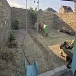 Satılır 2 otaqlı Bağ evi, Zabrat qəs., Sabunçu rayonu 9