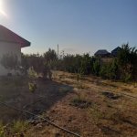 Satılır 3 otaqlı Bağ evi, Məhəmmədli, Abşeron rayonu 14