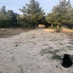 Satılır 8 otaqlı Bağ evi, Goradil, Abşeron rayonu 20