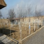 Satılır 2 otaqlı Bağ evi, Masazır, Abşeron rayonu 30