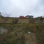 Satılır Torpaq, Novxanı, Abşeron rayonu 2
