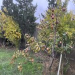 Satılır 4 otaqlı Bağ evi, Fatmayi, Abşeron rayonu 17