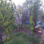 Satılır Torpaq, Mehdiabad, Abşeron rayonu 2