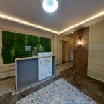 Kirayə (aylıq) 3 otaqlı Yeni Tikili, Nəriman Nərimanov metrosu, Su sonası ş/s, Nərimanov rayonu 12