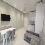 Kirayə (aylıq) 2 otaqlı Yeni Tikili, Nəriman Nərimanov metrosu, Nərimanov rayonu 1