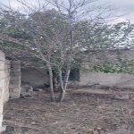 Satılır Torpaq, Novxanı, Abşeron rayonu 2