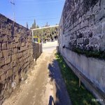 Kirayə (aylıq) 3 otaqlı Bağ evi, Bilgəh qəs., Sabunçu rayonu 4