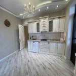 Kirayə (aylıq) 3 otaqlı Yeni Tikili, 28 May metrosu, 28 Mall, Nəsimi rayonu 5