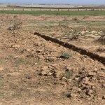 Satılır Torpaq, Koroğlu metrosu, Məhəmmədli, Abşeron rayonu 5