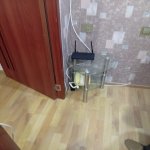 Kirayə (aylıq) 1 otaqlı Köhnə Tikili, Elmlər akademiyası metrosu, Yasamal rayonu 2