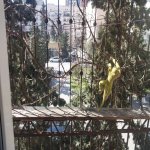 Kirayə (aylıq) 1 otaqlı Köhnə Tikili, Xətai metrosu, Ağ şəhər, Xətai rayonu 1